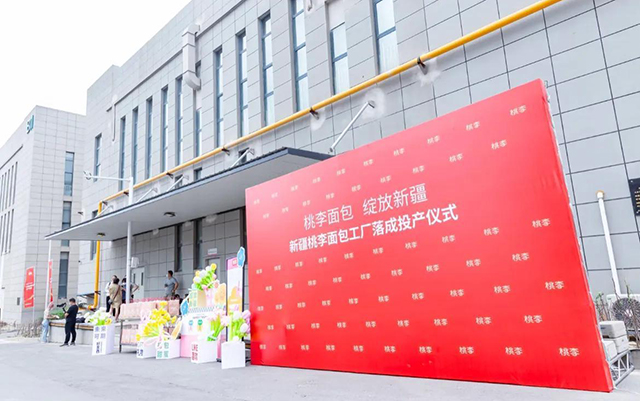 esball(中国区)官方网站